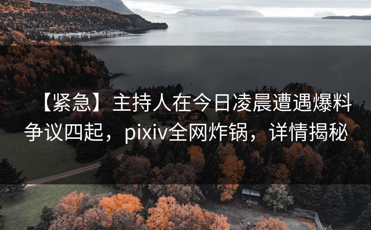 【紧急】主持人在今日凌晨遭遇爆料争议四起，pixiv全网炸锅，详情揭秘