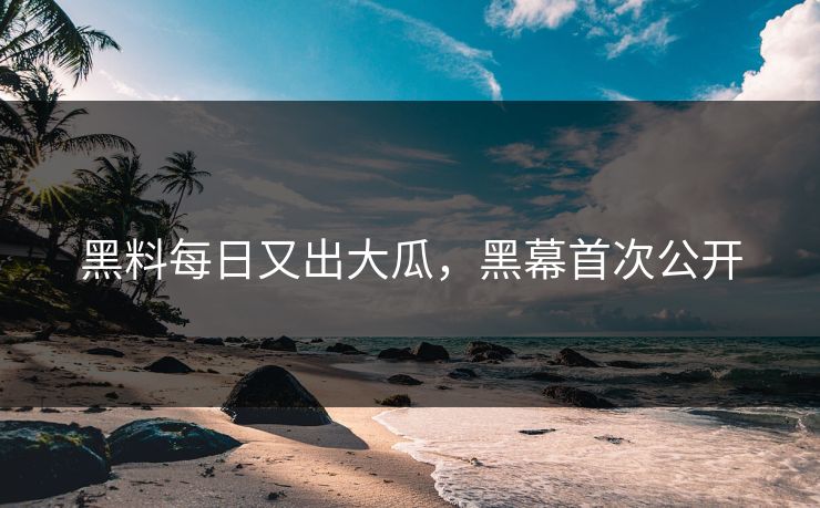 黑料每日又出大瓜，黑幕首次公开