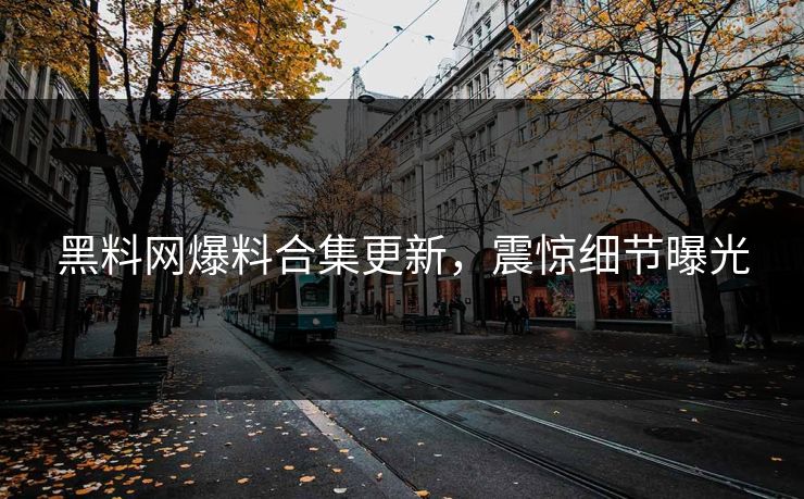 黑料网爆料合集更新，震惊细节曝光