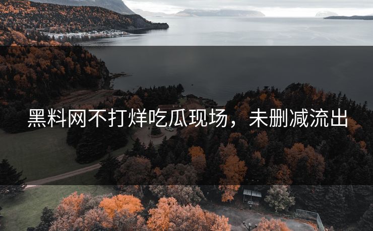 黑料网不打烊吃瓜现场，未删减流出