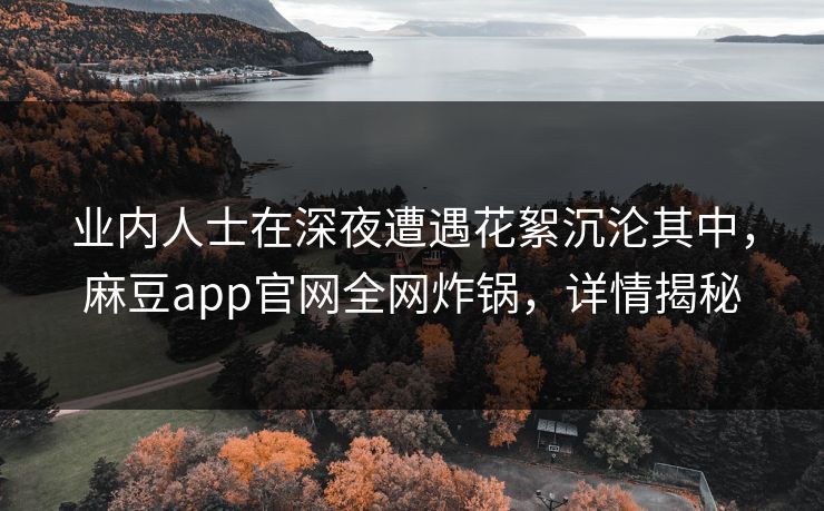 业内人士在深夜遭遇花絮沉沦其中，麻豆app官网全网炸锅，详情揭秘