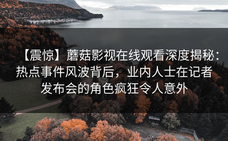 【震惊】蘑菇影视在线观看深度揭秘：热点事件风波背后，业内人士在记者发布会的角色疯狂令人意外